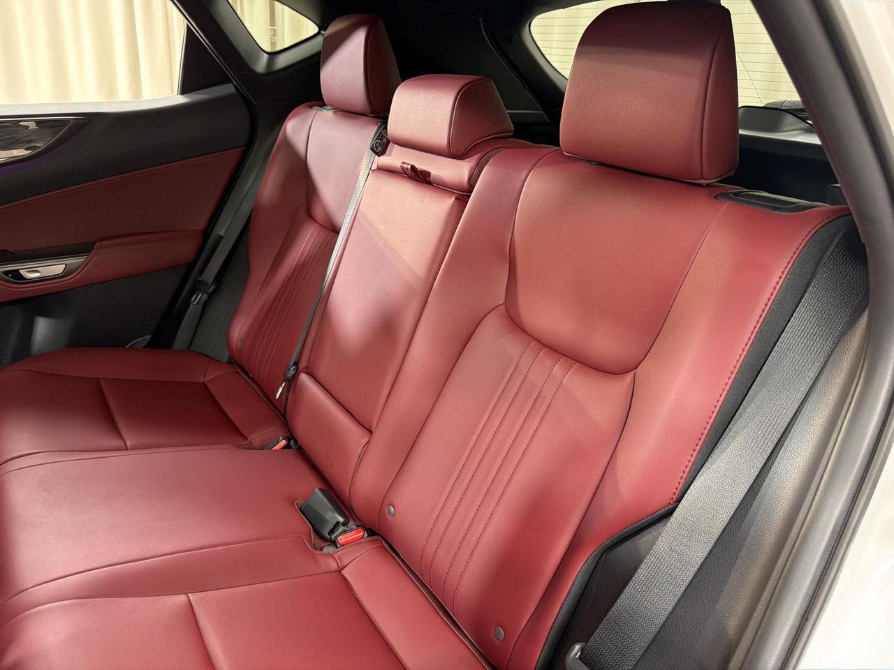 2025 Lexus NX 350h Premium Annapolis MD