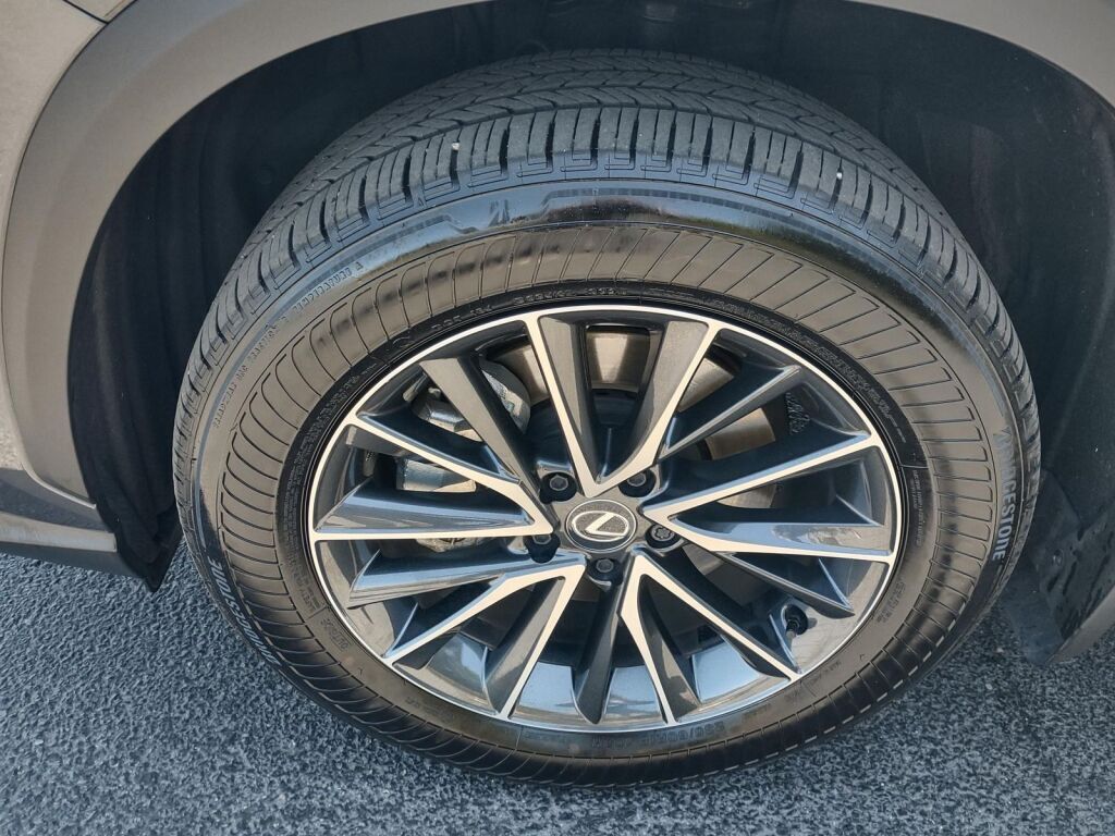 2025 Lexus NX 350h Premium Richmond VA