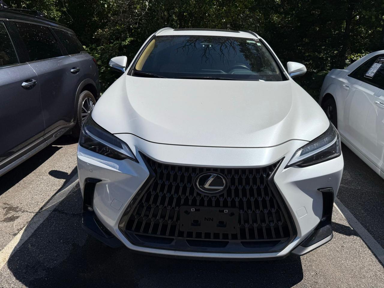 2025 Lexus NX 350h Premium Annapolis MD