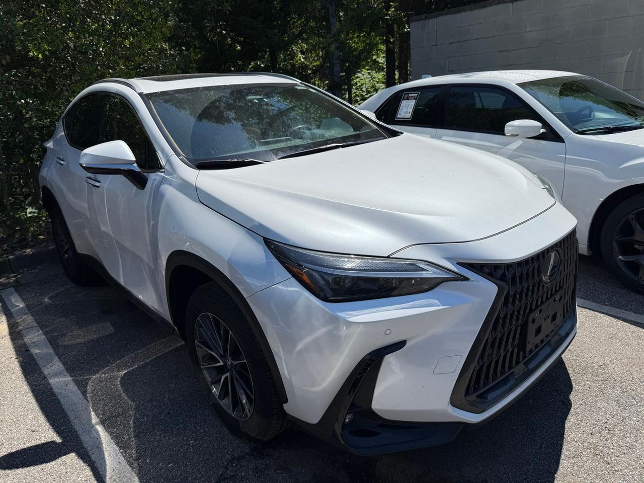 2025 Lexus NX