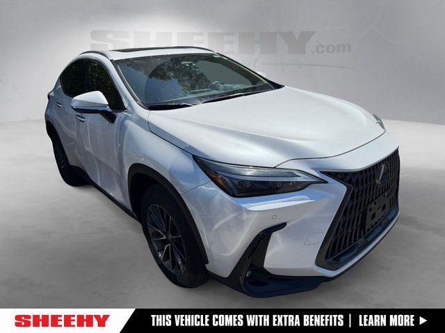 2025 Lexus NX