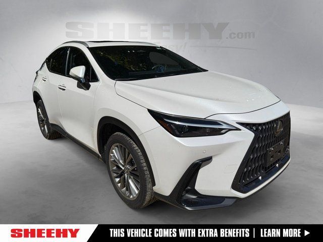 2025 Lexus NX