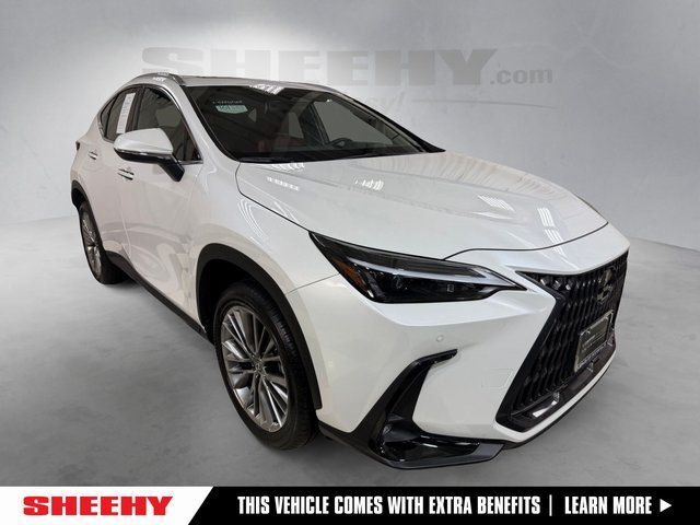 2025 Lexus NX 350h Premium