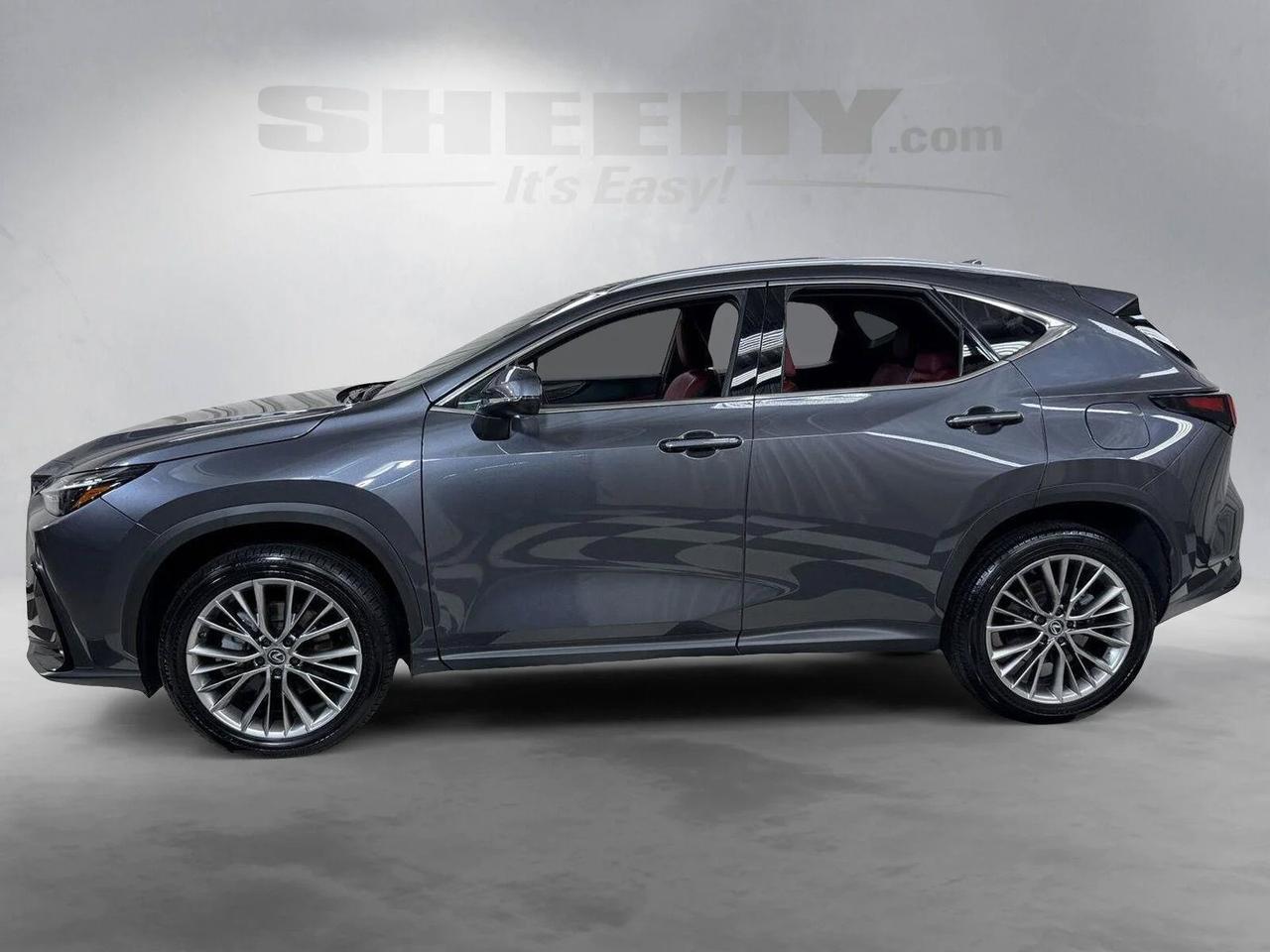 2025 Lexus NX 350h Premium Annapolis MD