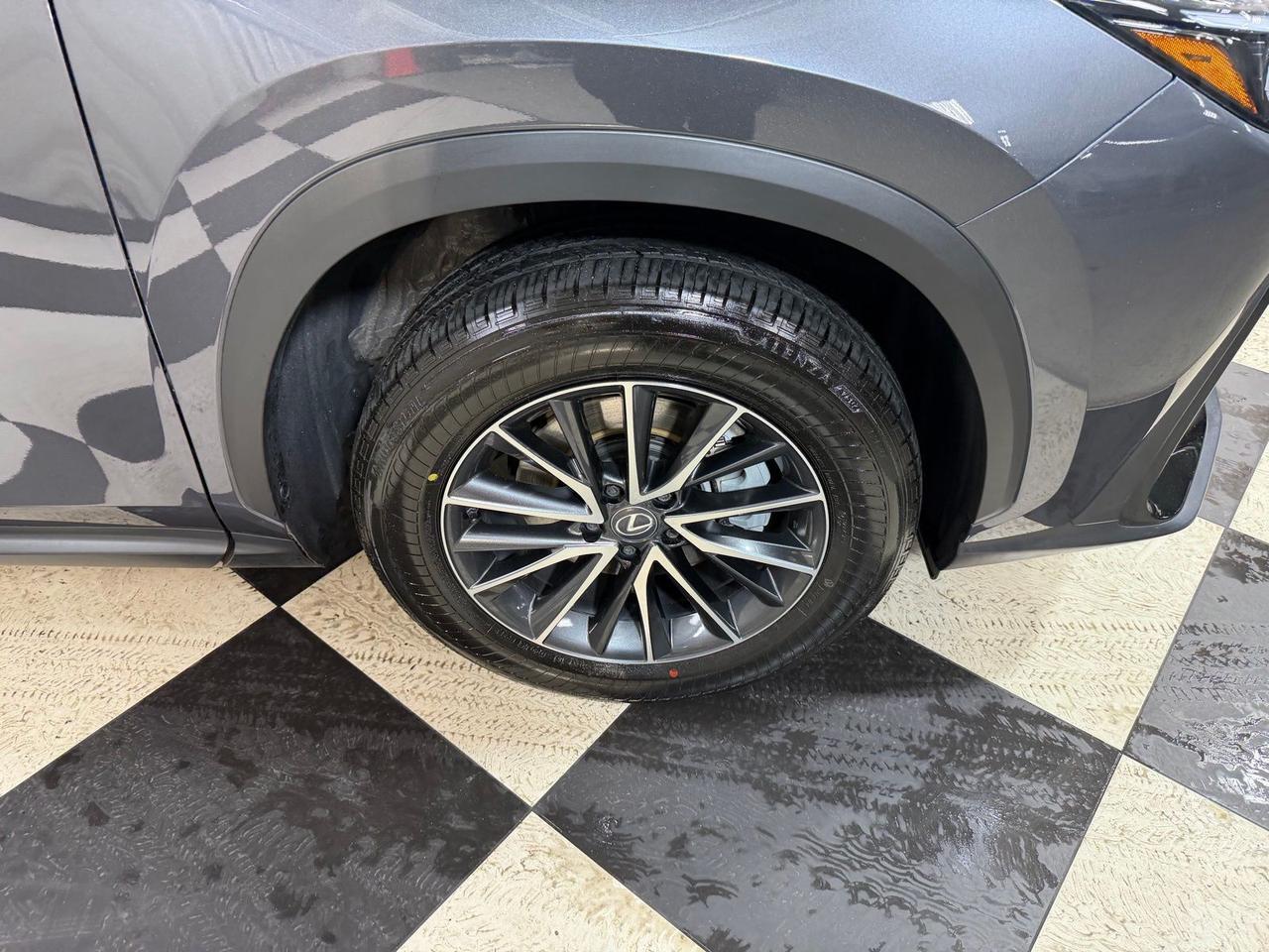 2025 Lexus NX 350h Premium Annapolis MD