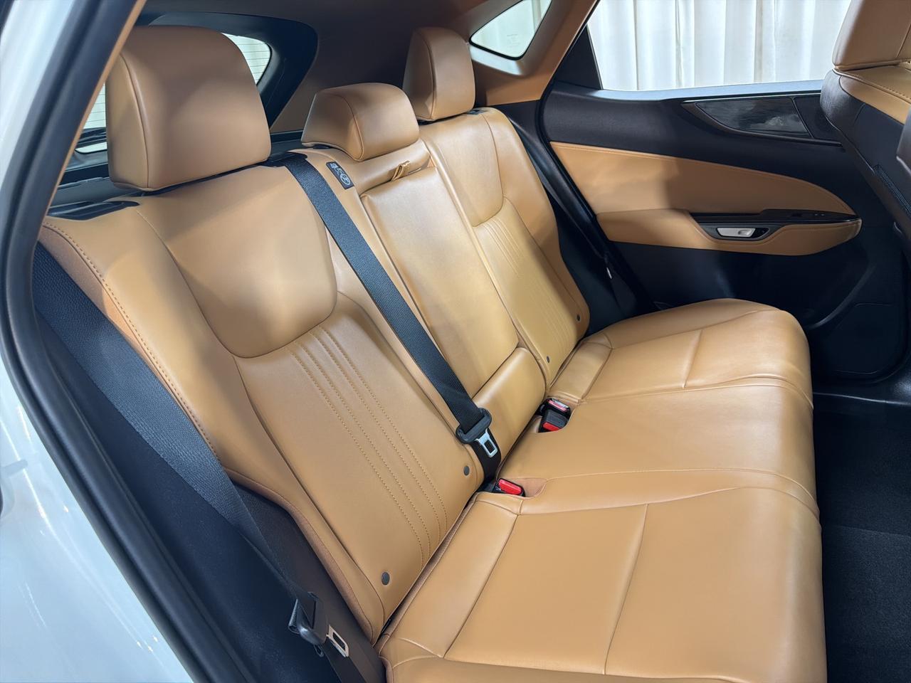 2025 Lexus NX 350h Premium Annapolis MD