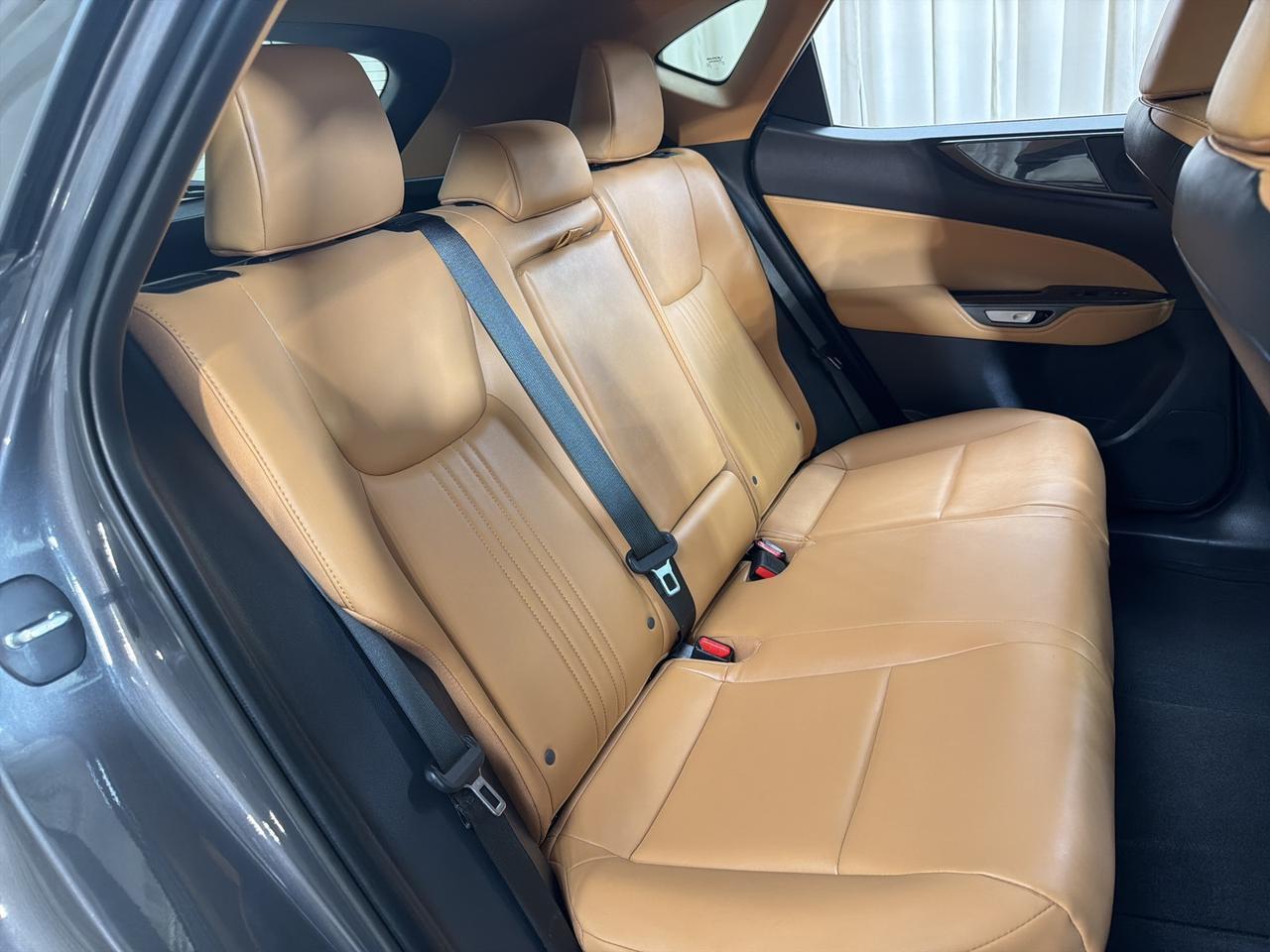 2025 Lexus NX 350h Premium Annapolis MD