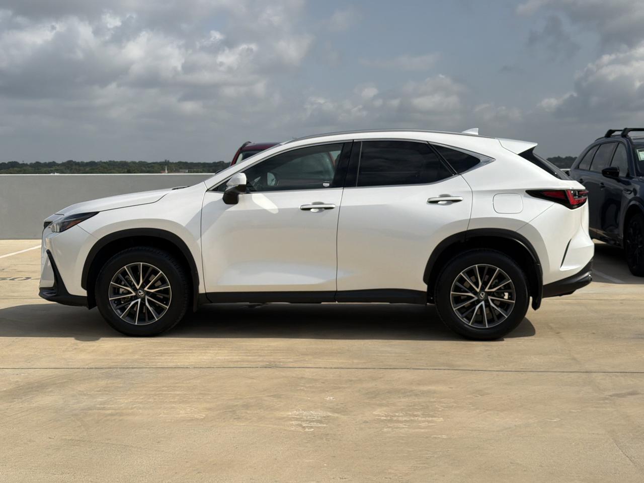 2025 Lexus NX