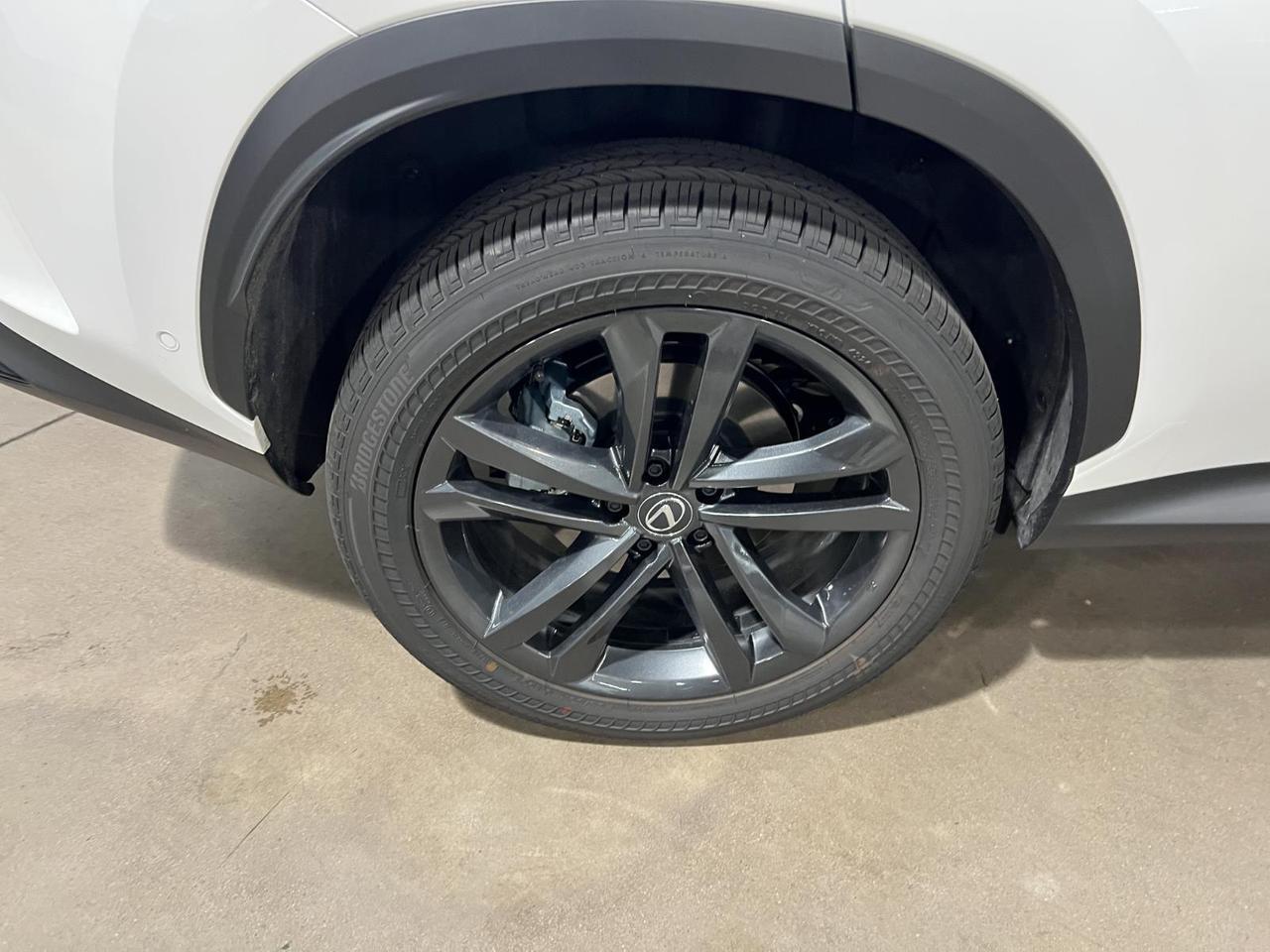 2025 Lexus NX 450h+ Luxury Parker CO