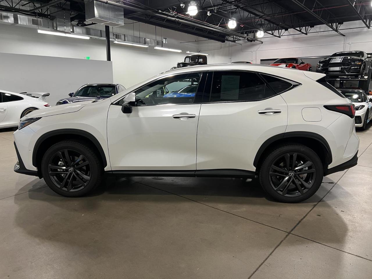 2025 Lexus NX 450h+ Luxury Parker CO