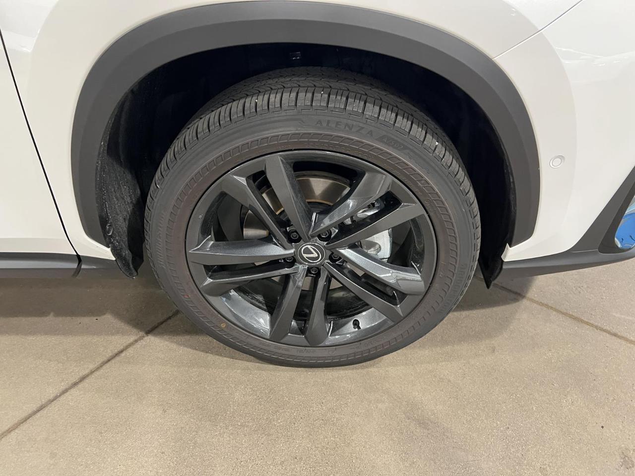 2025 Lexus NX 450h+ Luxury Parker CO