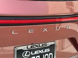 2025 Lexus NX 450h+ Luxury San Diego County CA