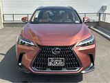 2025 Lexus NX 450h+ Luxury San Diego County CA