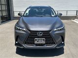 2025 Lexus NX 450h+ Luxury San Diego County CA