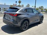 2025 Lexus NX 450h+ Luxury San Diego County CA