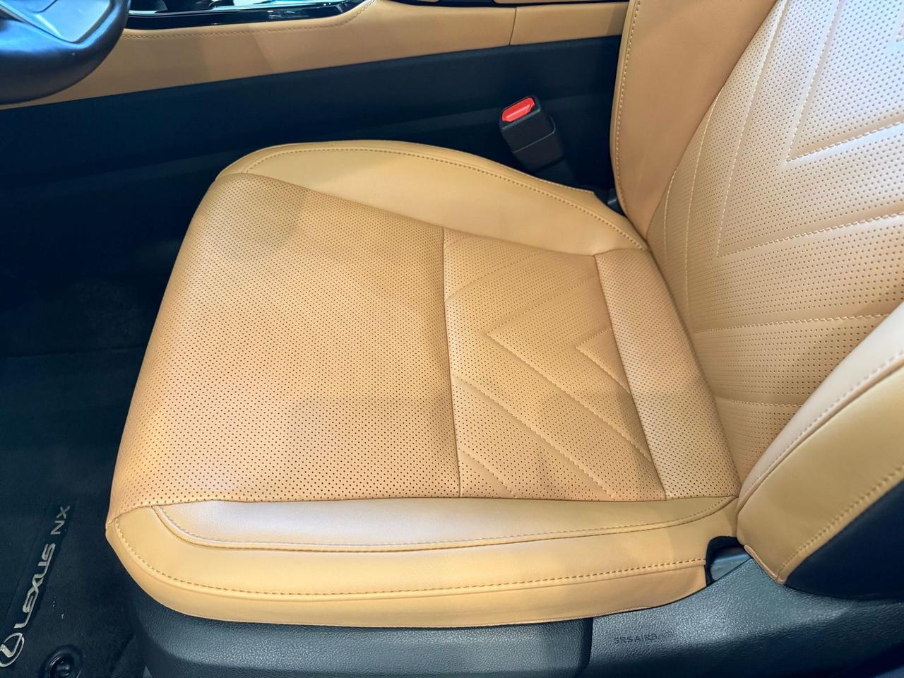 2025 Lexus NX 450h+ Luxury Annapolis MD