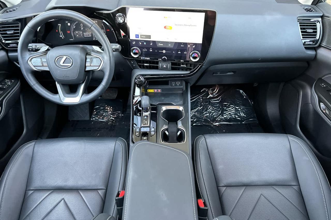 2025 Lexus NX Luxury