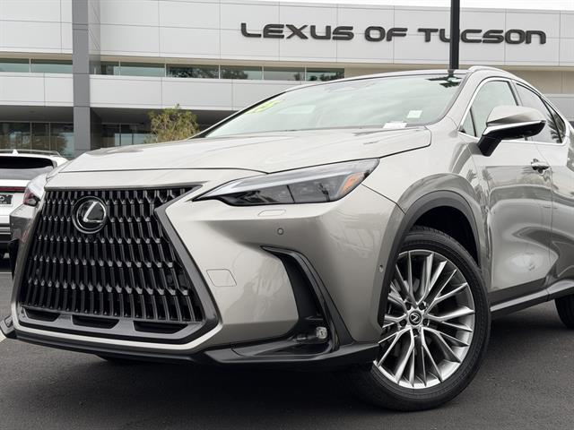 2025 Lexus NX Luxury
