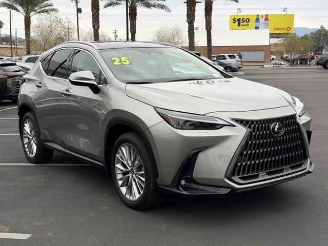 2025 Lexus NX Luxury