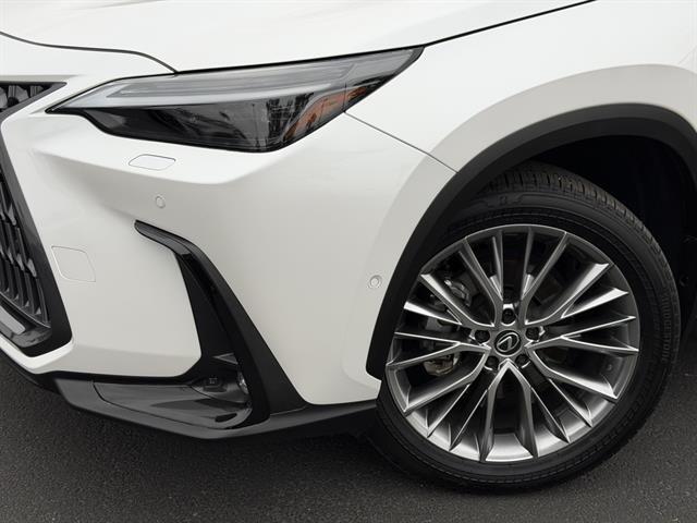 2025 Lexus NX Luxury