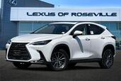 2025 Lexus NX Premium