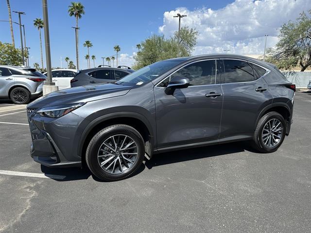 2025 Lexus NX Premium