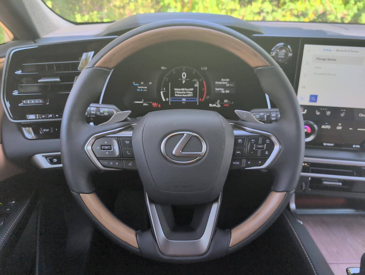 2025 Lexus RX San Antonio TX