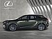 2025 Lexus RX 350 Luxury
