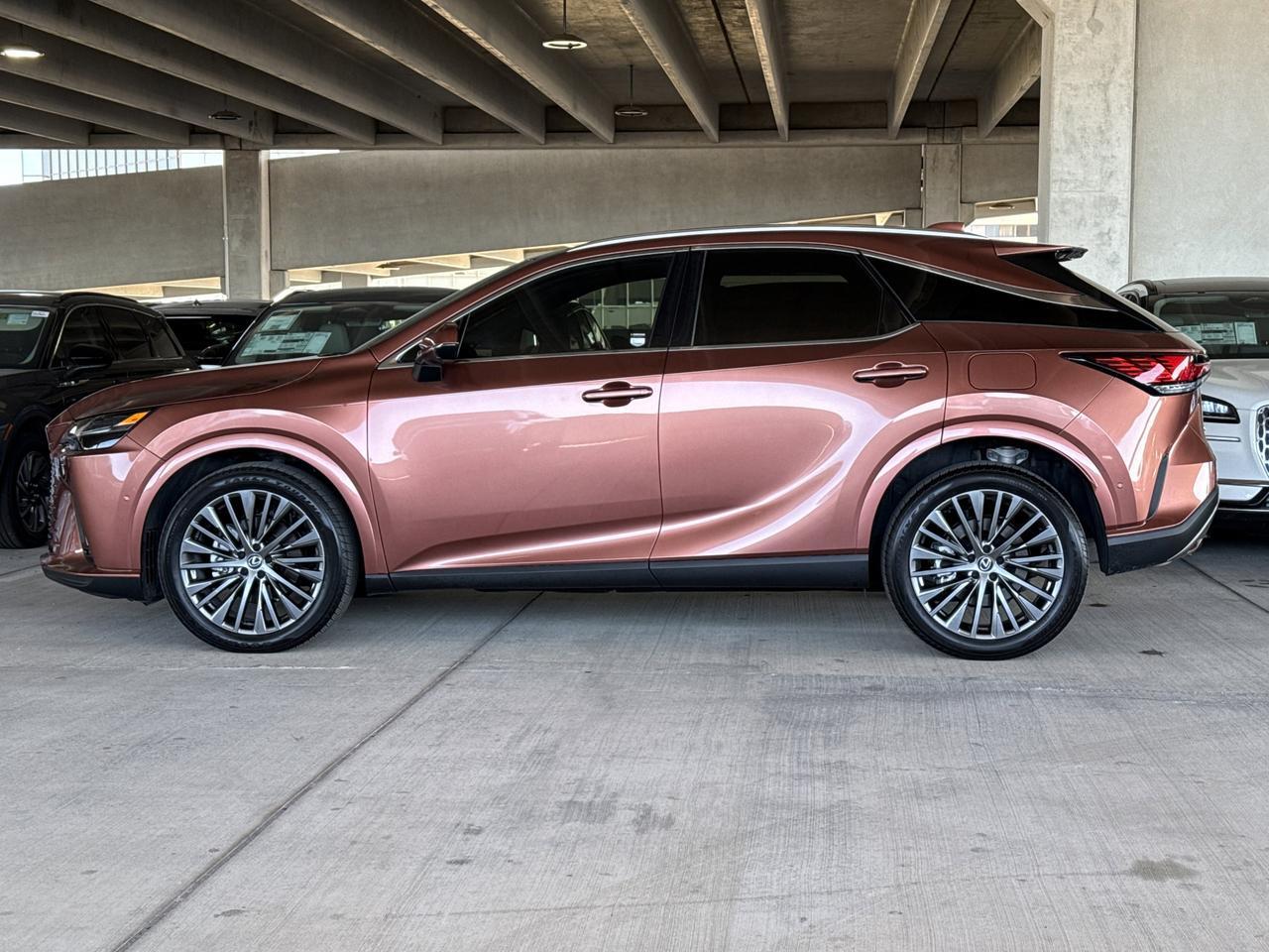 2025 Lexus RX