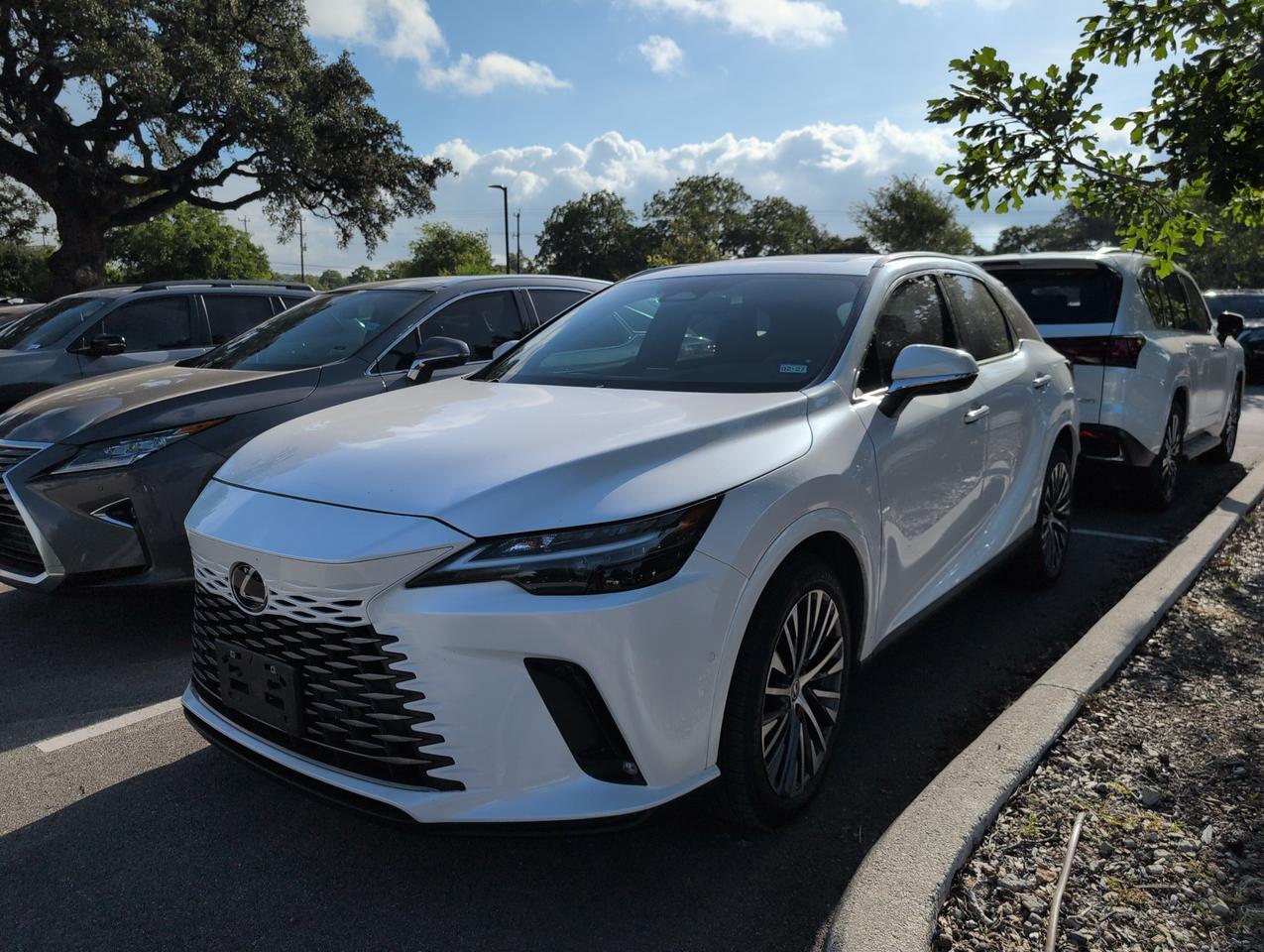 2025 Lexus RX
