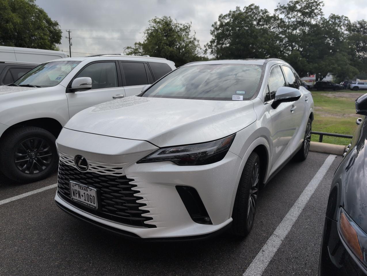 2025 Lexus RX