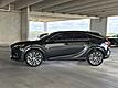 2025 Lexus RX 350 Premium Plus