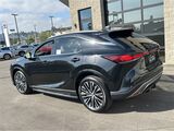 2025 Lexus RX 350 Premium Plus San Diego County CA