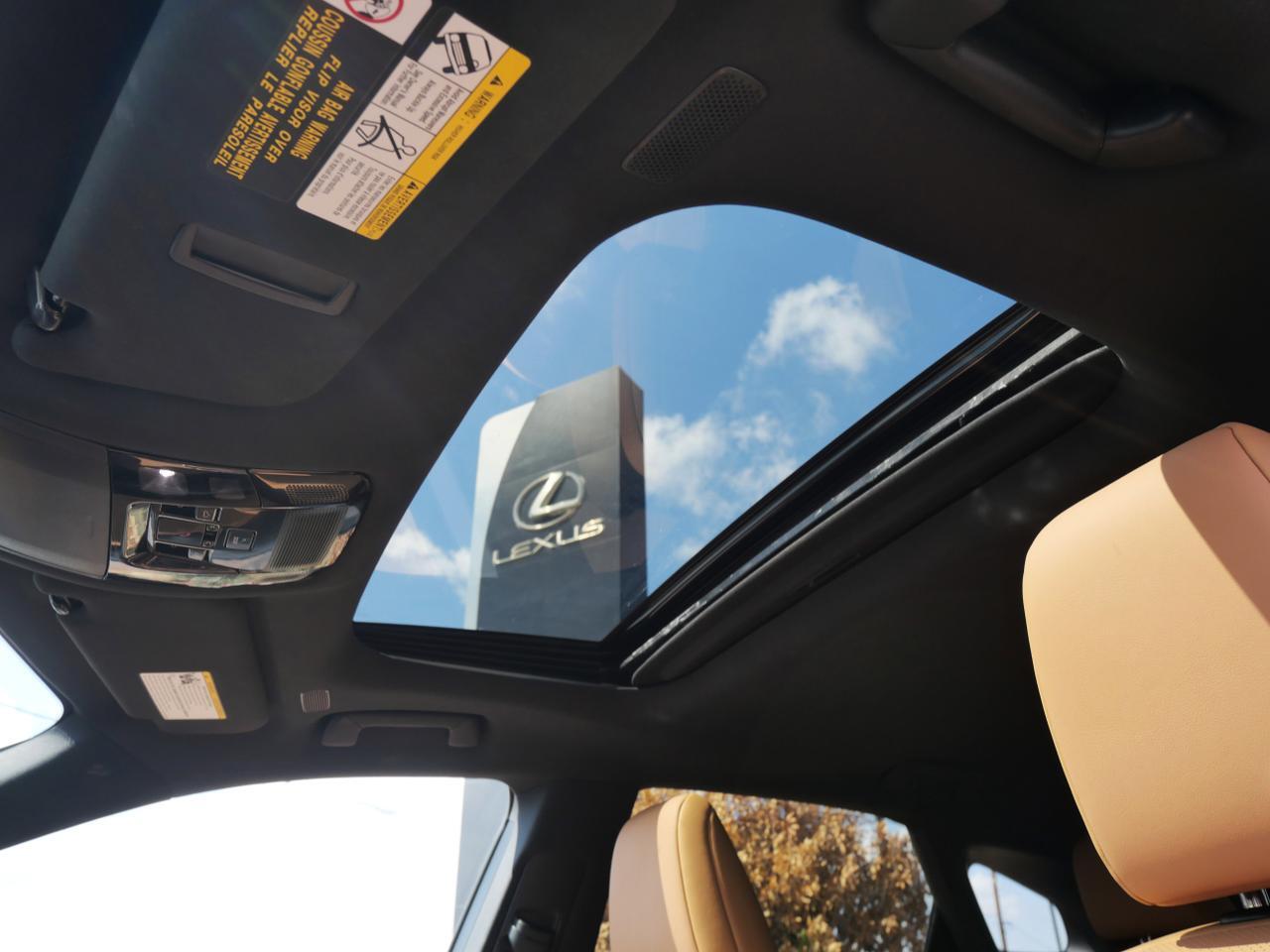 2025 Lexus RX 350 Premium San Juan TX