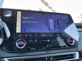 2025 Lexus RX 350 Premium San Diego County CA