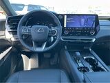 2025 Lexus RX 350 Premium San Diego County CA