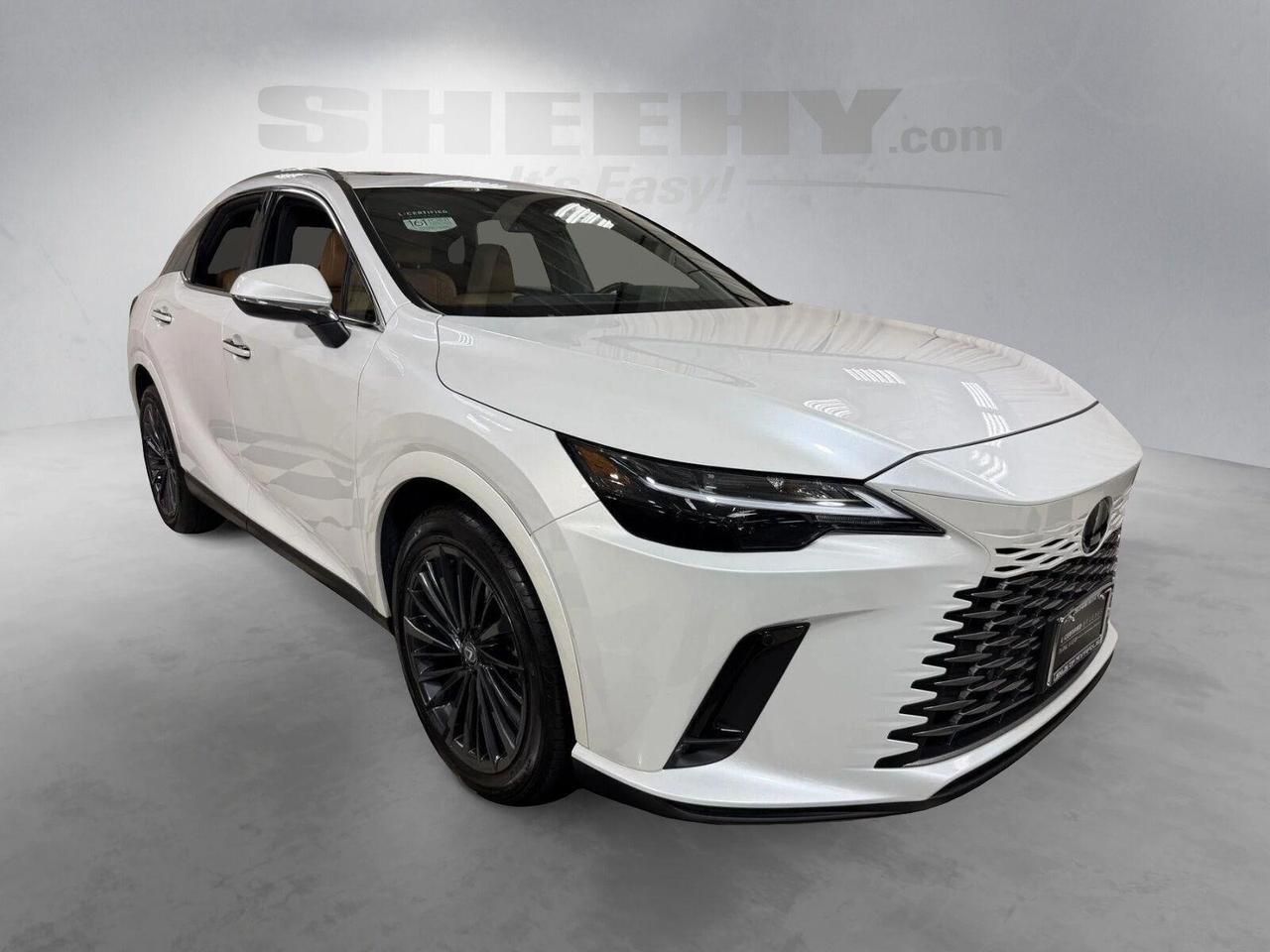 2025 Lexus RX