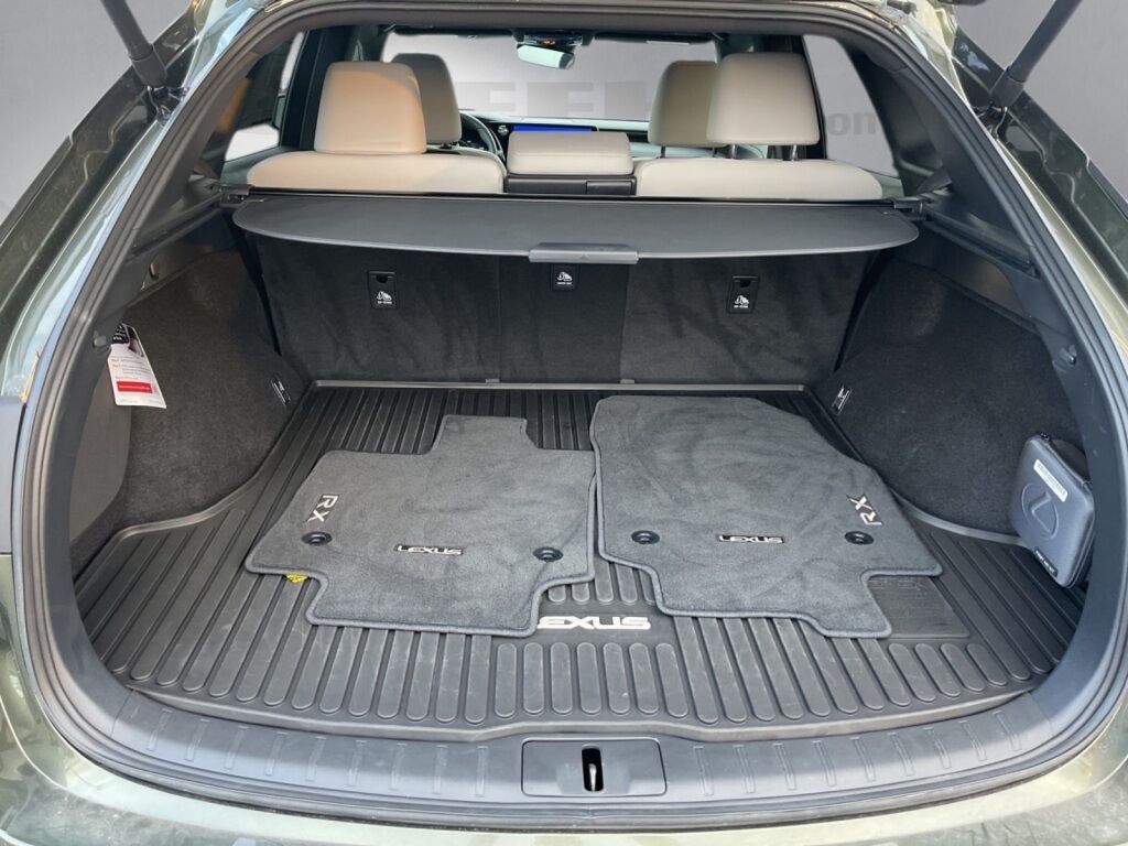2025 Lexus RX 350 Premium Richmond VA