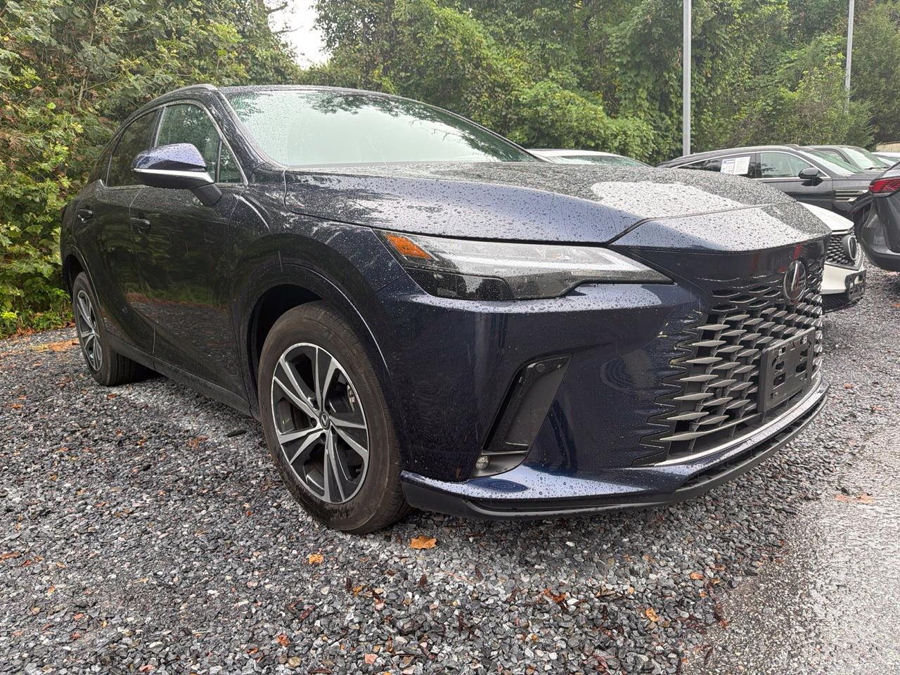 2025 Lexus RX