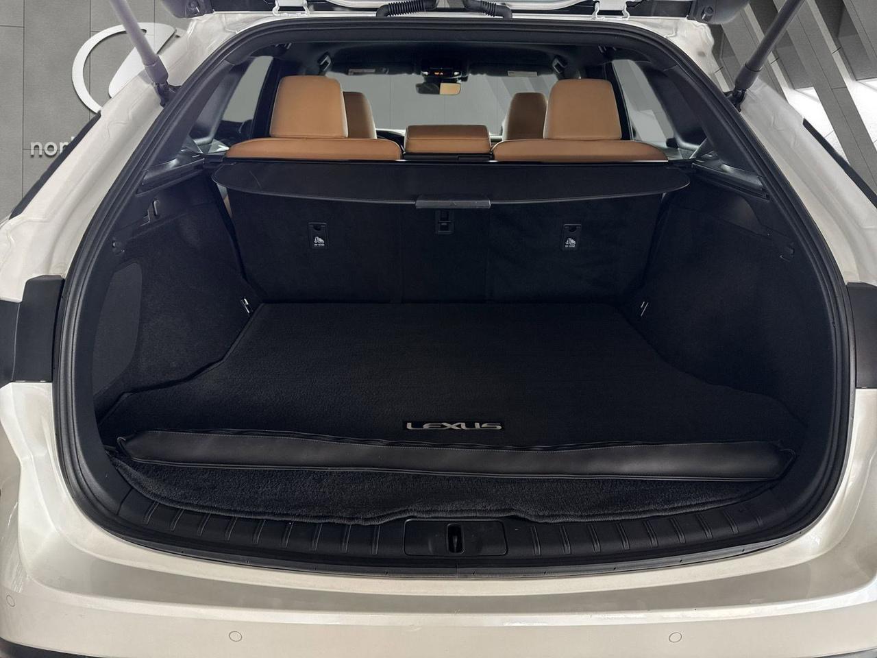 2025 Lexus RX 350 San Antonio TX