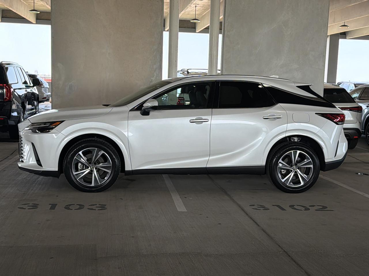 2025 Lexus RX