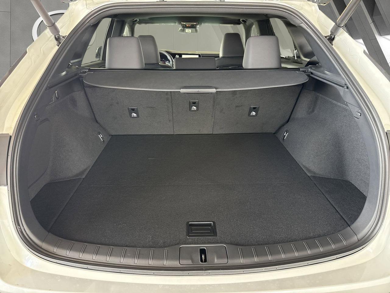 2025 Lexus RX 350 San Antonio TX