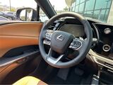 2025 Lexus RX 350 San Diego County CA