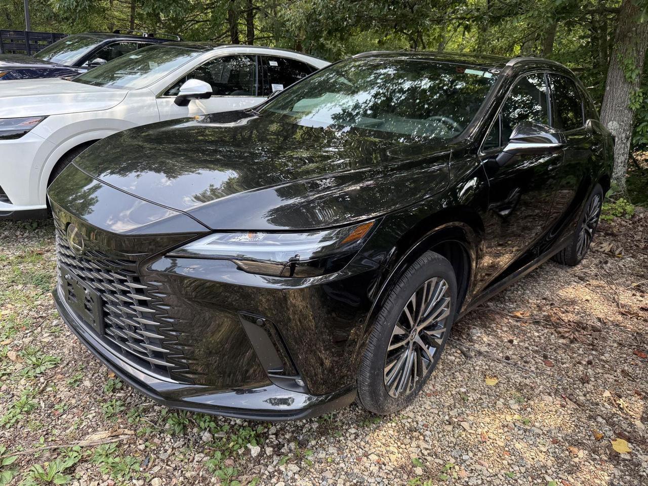 2025 Lexus RX 350h Premium Plus Annapolis MD