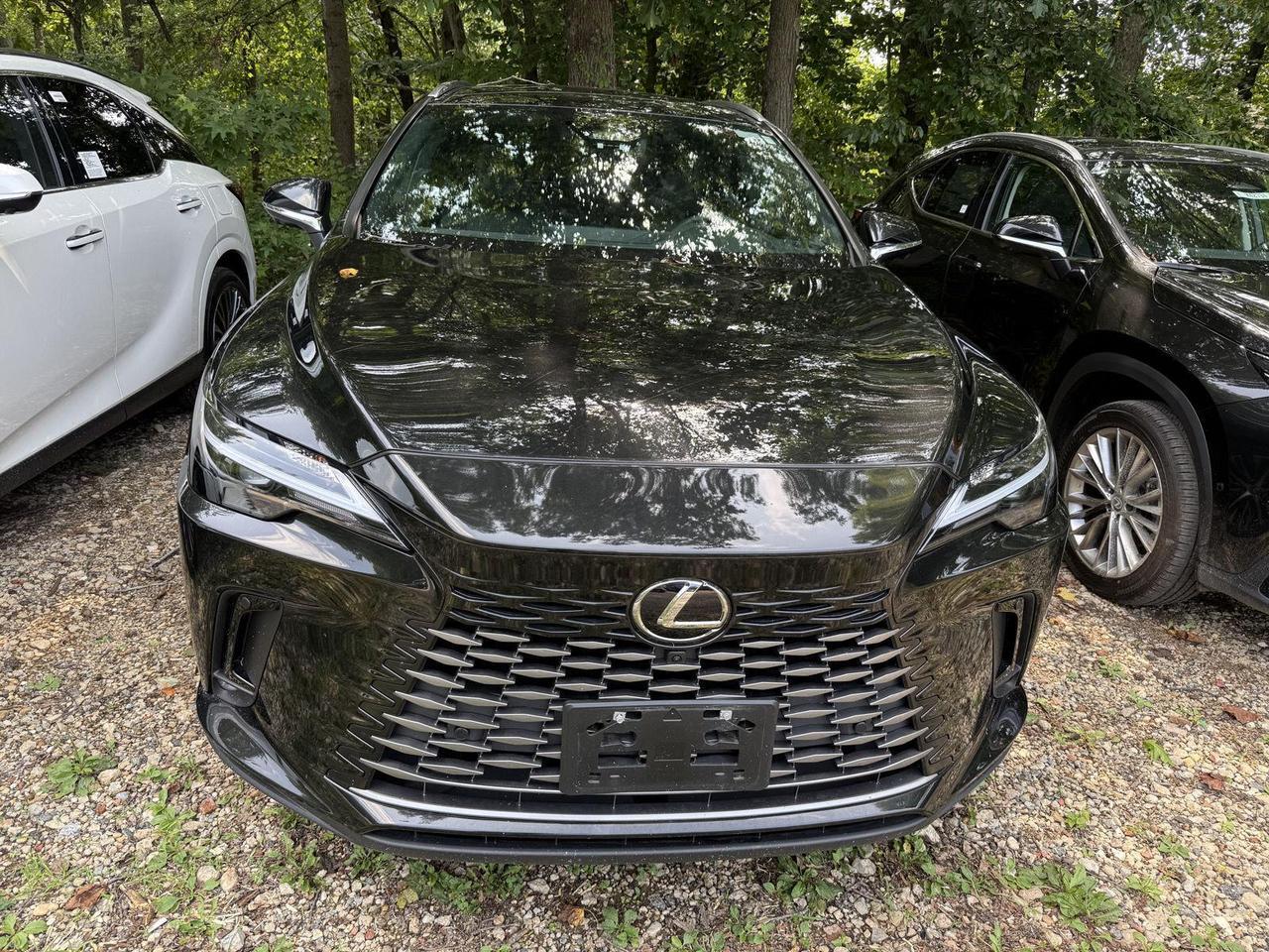 2025 Lexus RX 350h Premium Plus Annapolis MD