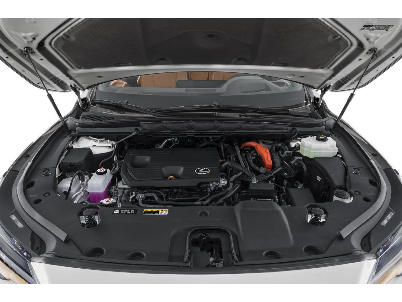 2025 Lexus RX 350h Premium Plus Annapolis MD