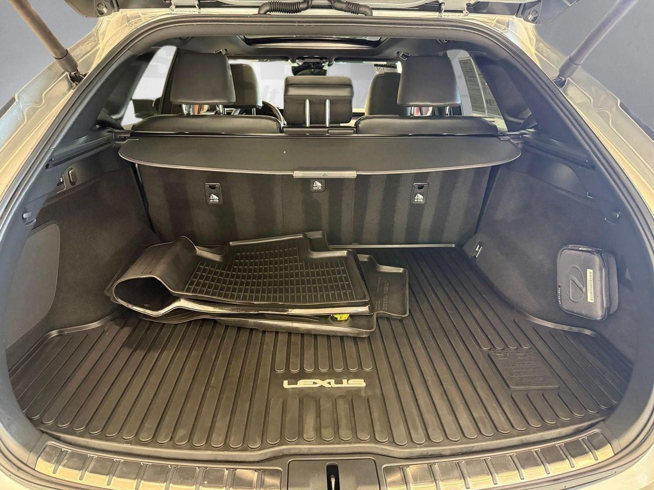 2025 Lexus RX 350h Premium Plus Annapolis MD