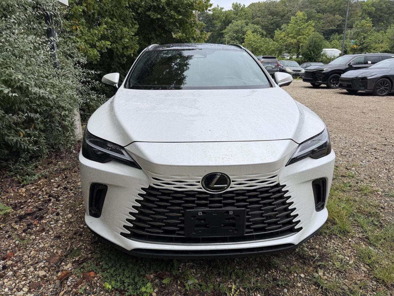 2025 Lexus RX 350h Premium Plus Annapolis MD