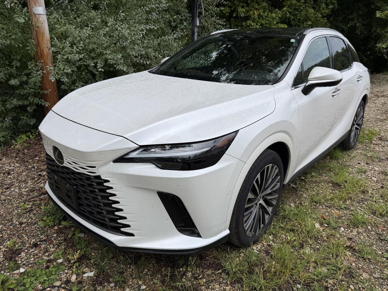 2025 Lexus RX 350h Premium Plus Annapolis MD