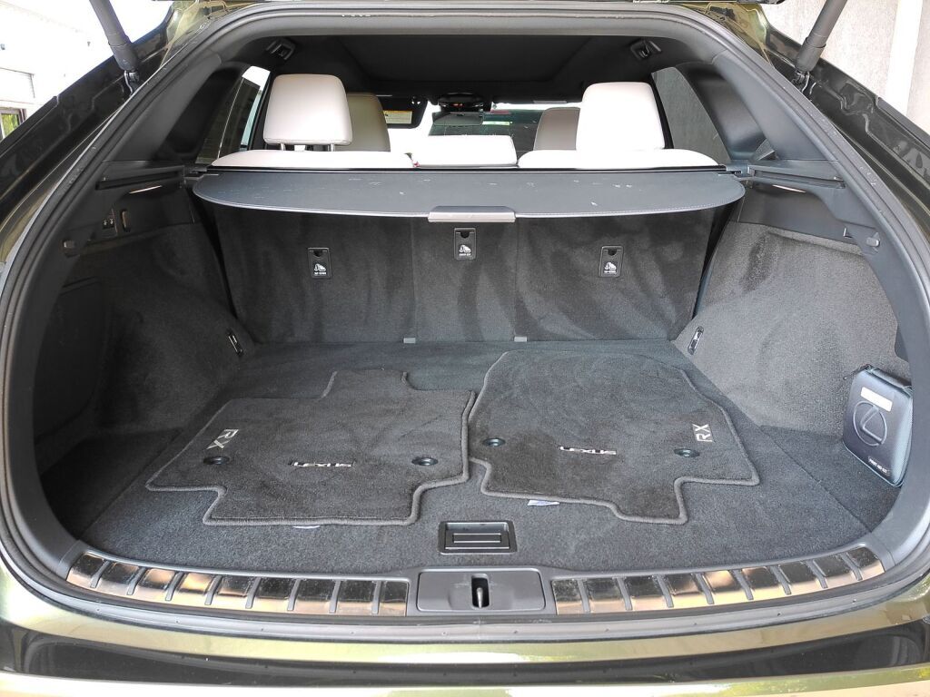 2025 Lexus RX 350h Premium Plus Richmond VA